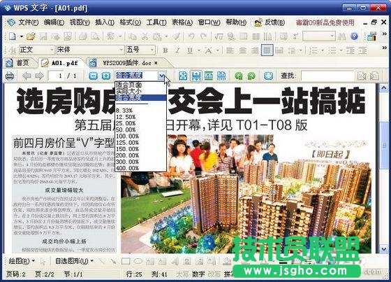 WPS2009插件的实例