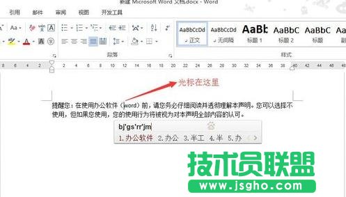 word2013如何使用插入和改写模式