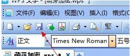 WPS文档如何加密3