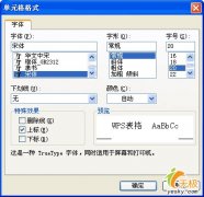 WPS表格单元格设置多种多样的格式