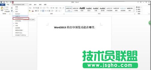 word2013打印预览在哪