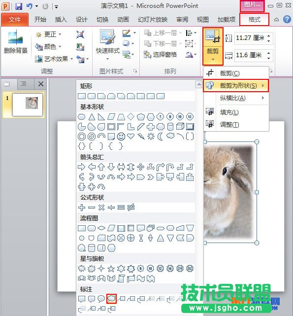 PowerPoint2010怎么自定义插入图片的样式 三联