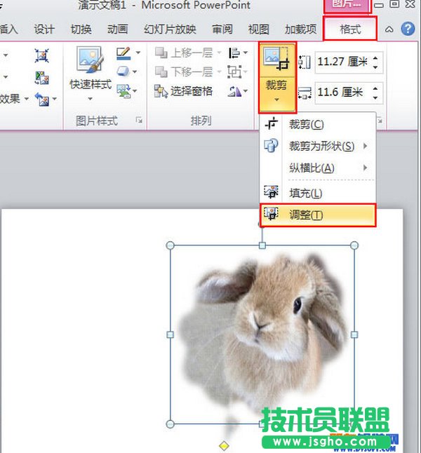 PowerPoint2010怎么自定义插入图片的样式