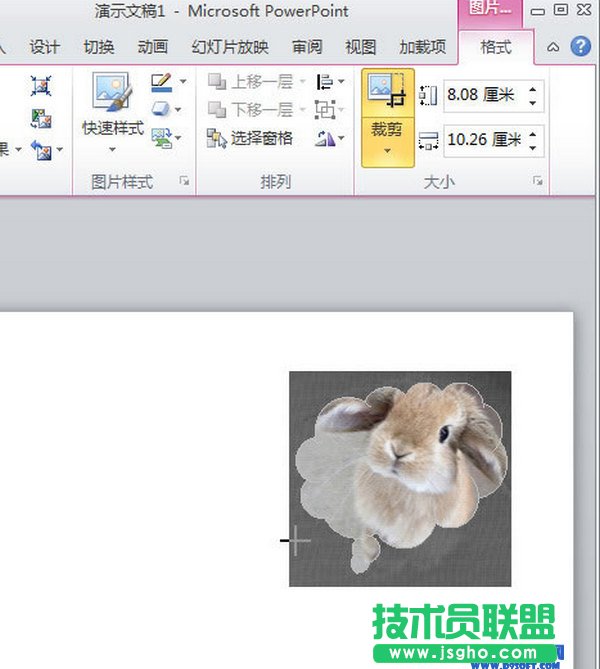 PowerPoint2010怎么自定义插入图片的样式