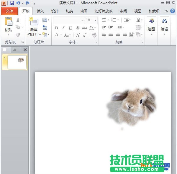PowerPoint2010怎么自定义插入图片的样式