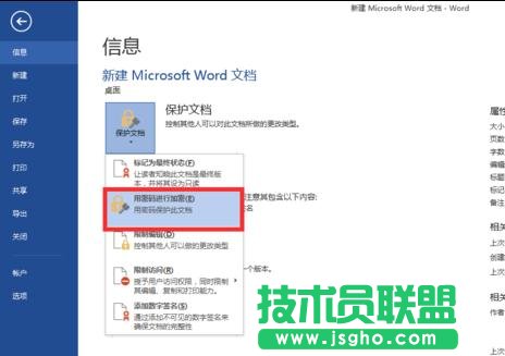 怎样给word2013文档加密