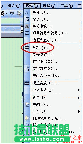 WPS文档如何分栏?