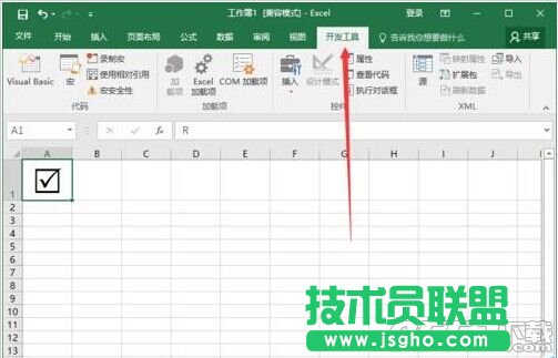 Excel2016怎么插入带勾的方框(多项选择符号)?