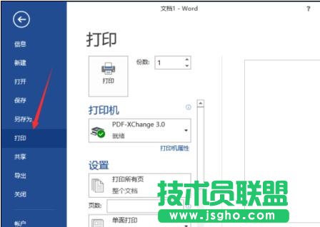 怎样解决word2013不能打印图片