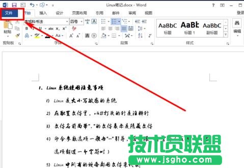 word2013如何进行内嵌字体