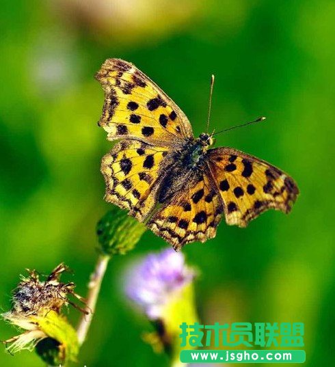 相机拍摄模式新手指南