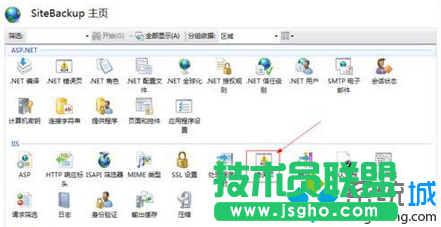 选择“错误页”