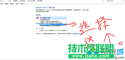 选择“从不检查更新”
