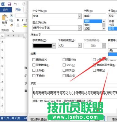 word2013中如何添加着重号