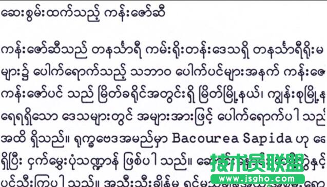 如何用ABBYY OCR识别技术在电脑上阅读缅甸语 三联
