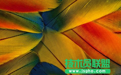 PowerPoint借助自定义形状实现填充自定义图片 三联