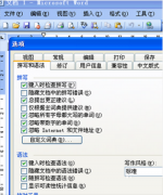 用office2003输入英文下面出现曲线是怎么回事？