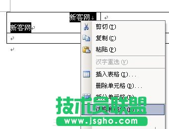 WPS中如何制作表格的斜线表头？ 三联