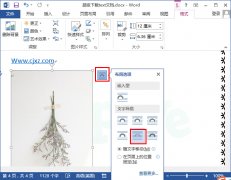 word2013如何在图片上输入文字？