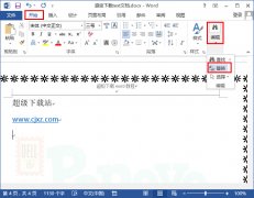 word2013如何批量去除所有英文字符