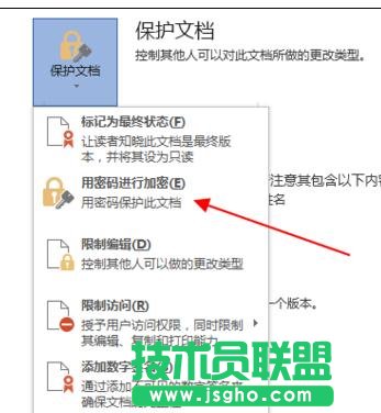 word2013文档如何进行加密保护
