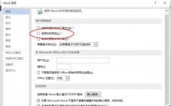 Word2013怎么取消启用实时预览的功能呢?