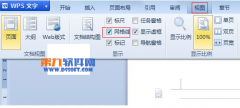 怎样修改WPS文字中网格线大小