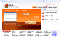 维棠FLV下载视频失败怎么解决