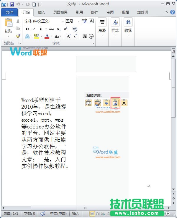 打开Word粘贴