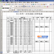 怎样巧用WPS函数每页小计总和
