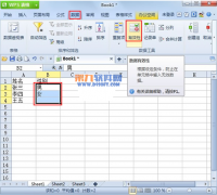 如何在WPS表格中正确输入默认内容