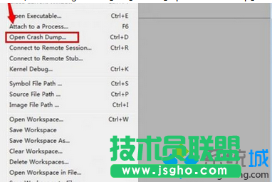 选择.DMP文件打开