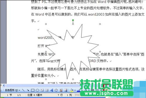 Word2003怎样为自选图形添加阴影