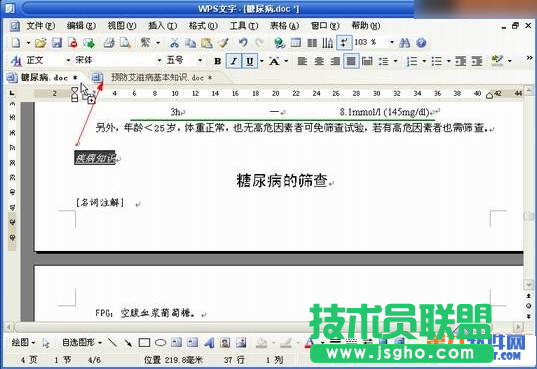 如何在WPS跨文档应用格式刷