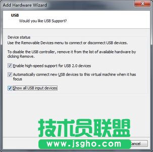 彻底解决VMware 7.1中3D游戏鼠标发飘的问题