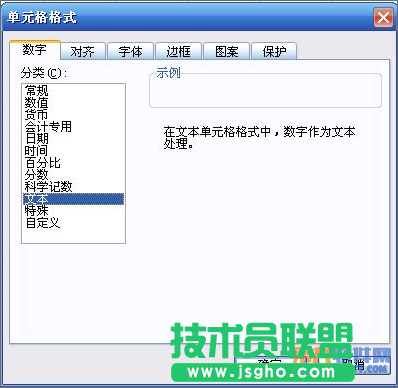 WPS表格怎样设置文字格式