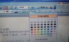Word2003文档中的背景颜色怎么去掉?