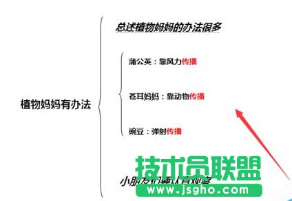 word2007如何把多处相同文字标红？