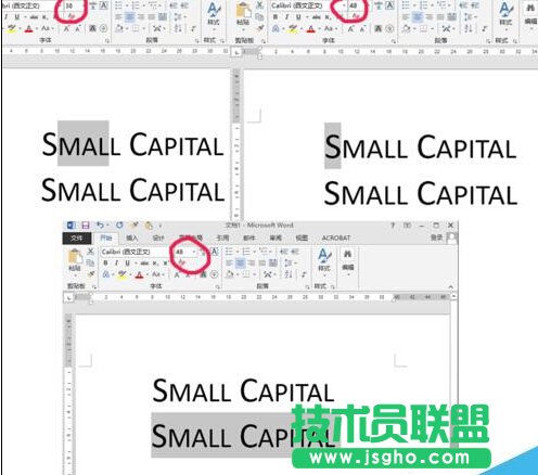word设小型大写字母small capitals