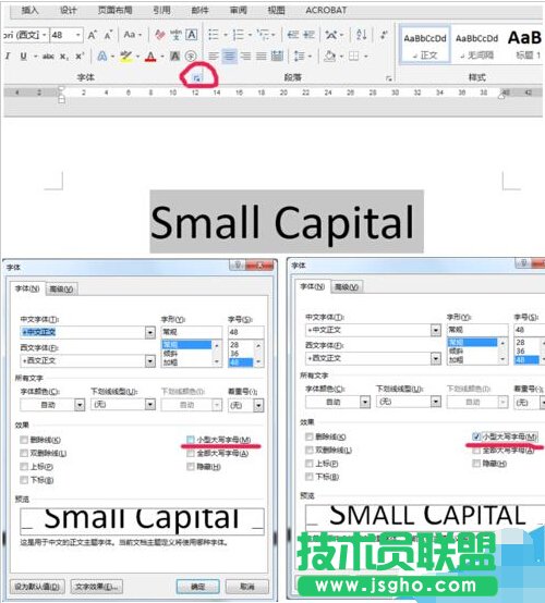word设小型大写字母small capitals
