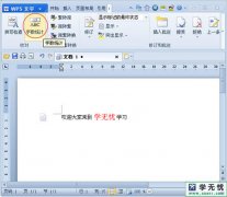 wps字数统计在哪里