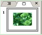 PowerPoint背景填充也能随意裁剪图片 三联