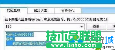 代码0x00000116
