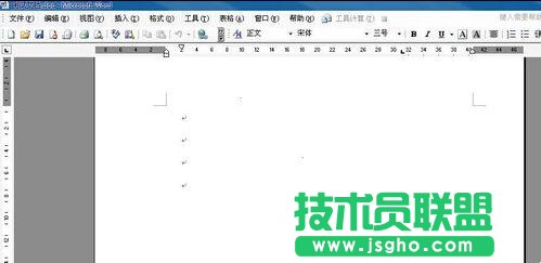 如何用word规范化数字格式