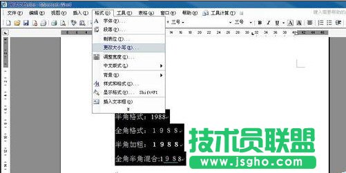 如何用word规范化数字格式