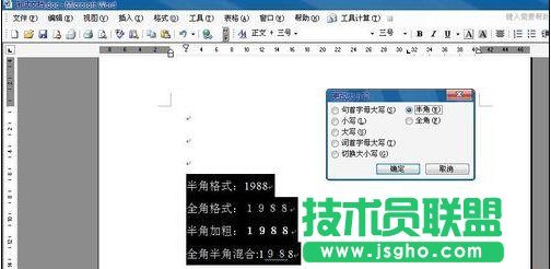 如何用word规范化数字格式