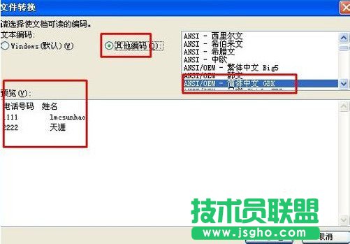 wps表格转换文字编码