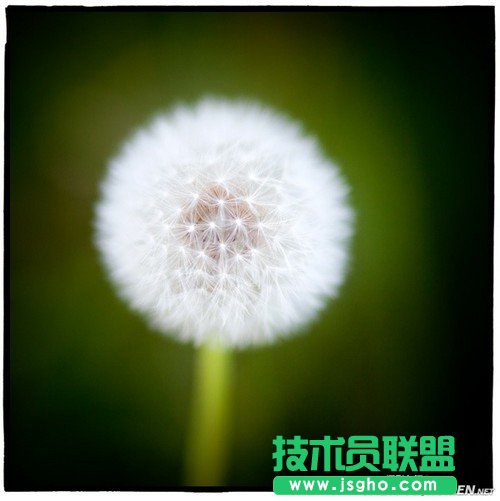 方形画幅让你不得不爱的5个理由