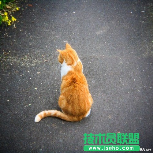 方形画幅让你不得不爱的5个理由
