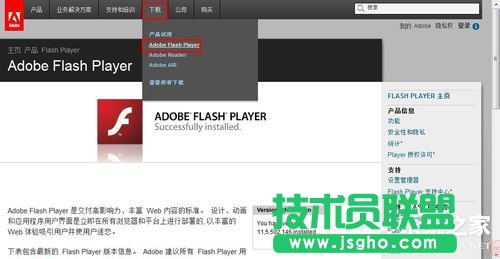 如何解决Win7浏览器提示Shockwave Flash崩溃的问题？